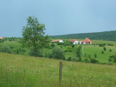 gyurufu